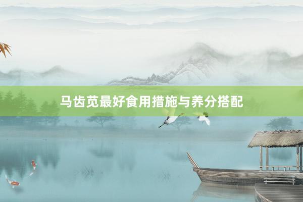 马齿苋最好食用措施与养分搭配
