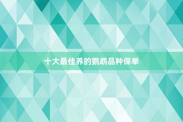 十大最佳养的鹦鹉品种保举